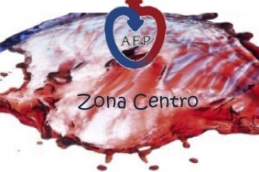 Reunión Virtual Zona Centro